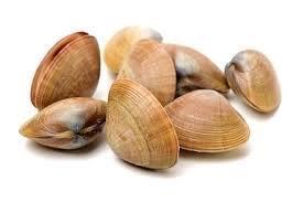 BRUMOS - clams